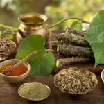 Guduchi in Spring: Why the Immunity Herb Shines Brightest During Season Change