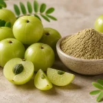 Amla / Amalaki (Phyllanthus emblica): Benefits, Uses, Dosage & Precautions