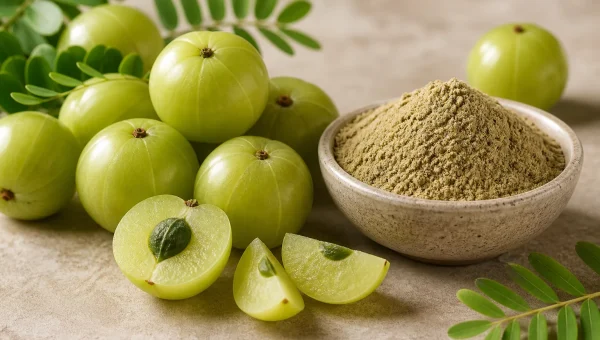 Amla / Amalaki (Phyllanthus emblica): Benefits, Uses, Dosage & Precautions