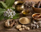Arka Calotropis Gigantea Potent Ayurvedic Plant Applications